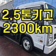 2.5톤카고트럭 고상 오토밋션 2300km 중고카고트럭