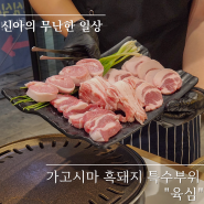 마곡나루역 가고시마 흑돼지 특수부위 맛집 육심