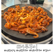 [안산] 선부동맛집 834쭈꾸미