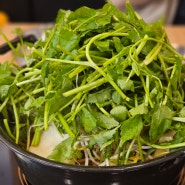 [과천 맛집] 버섯샤브샤브와 칼국수, 볶음밥을 한번에 먹을 수 있는 등촌샤브칼국수 과천점