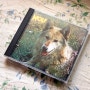 무리를 떠난 늑대 한 마리 : Darryl Way's Wolf - Canis Lupus, 1973 [CD/리이슈]