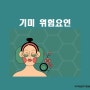 기미의 위험요인 (기미발생을 증가시키는 요인)