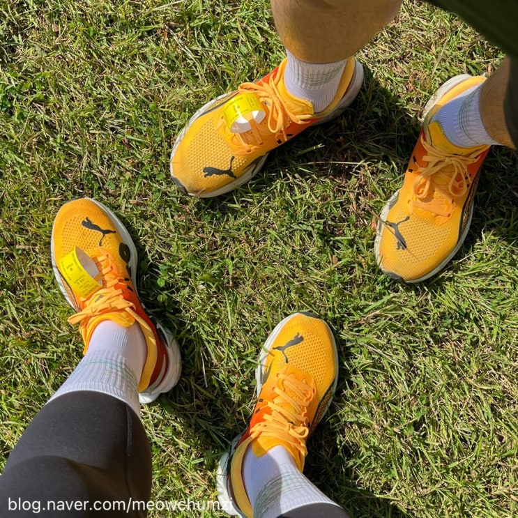 허준런 5km 후기