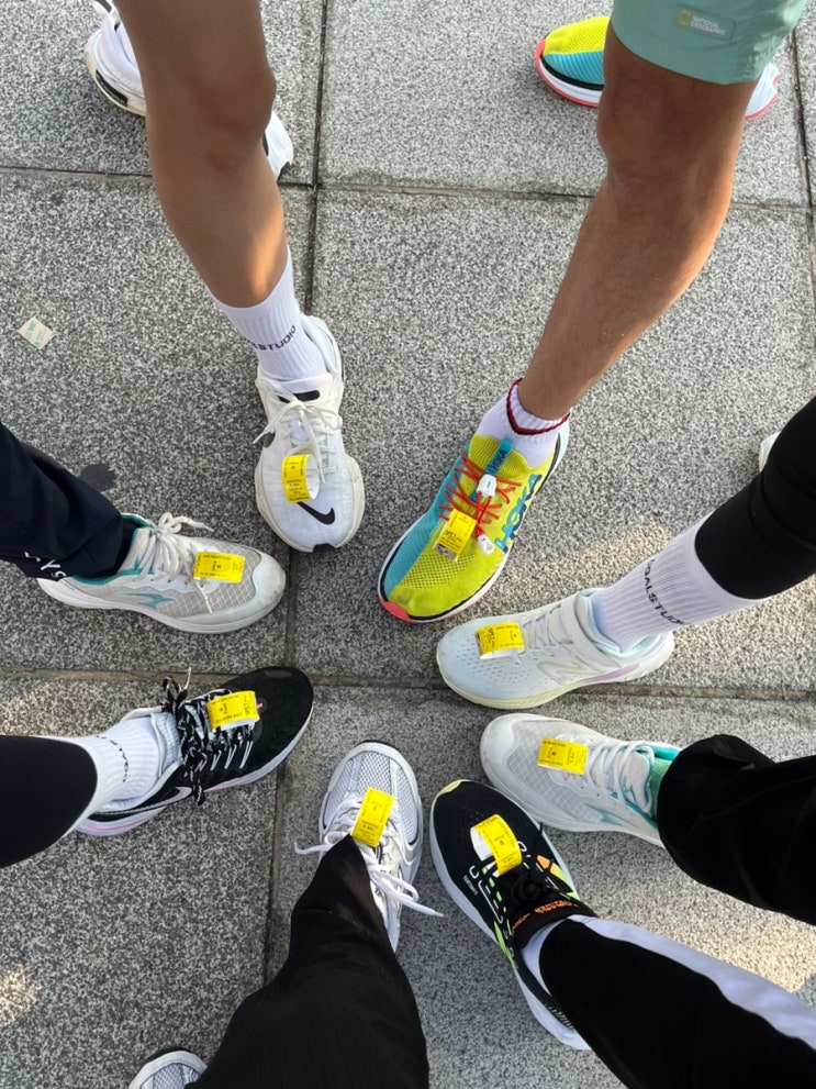 강서구 허준런 2회차 마라톤 서울식물원 5km 참가 후기