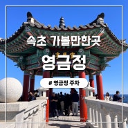 속초 가볼만한곳 영금정 주차, 전망대, 명소 후기