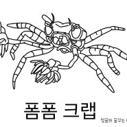 [색칠하기] 광대새우, 딱총새우, 폼폼크랩 색칠하기