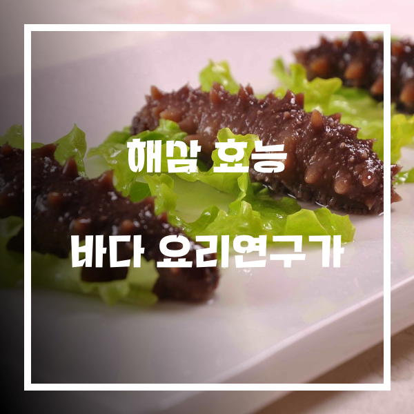 해삼 효능 종류 및 가격 : 네이버 블로그