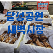 대구 달성공원 새벽에 장이 열렸다가 사라지는 새벽시장