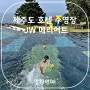 제주도 호텔 수영장 JW 메리어트 제주 부대시설 대여물품 이용 정보