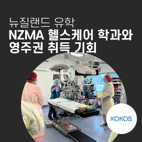 뉴질랜드 유학: NZMA 헬스케어 학과와 영주권 취득 기회 : 네이버 블로그