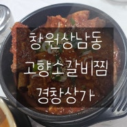 창원 상남동 맛집 상남동 점심 '고향소갈비찜'