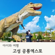 고성공룡엑스포 기본정보 사전예매 식당 퍼레이드 먹거리 주차장