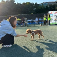 지현 나루와 함께한 댕댕이 축제