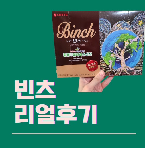 롯데 과자 빈츠 204g 초콜릿 비스킷 가격 칼로리 리뷰 : 네이버 블로그
