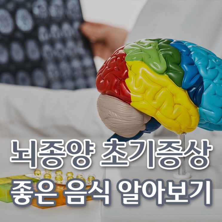 뇌종양초기증상, 악성뇌종양 원인, 뇌종양증상에 좋은 음식 : 네이버 블로그