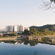 포토덤프 챌린지 - 내가 찍은 풍경사진