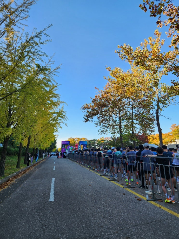 리스펙트런 2024 후기_10km 코스 / 기념품 / 셔틀