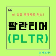 팔란티어 성장 가속화 촉매제로 고공 행진 중!