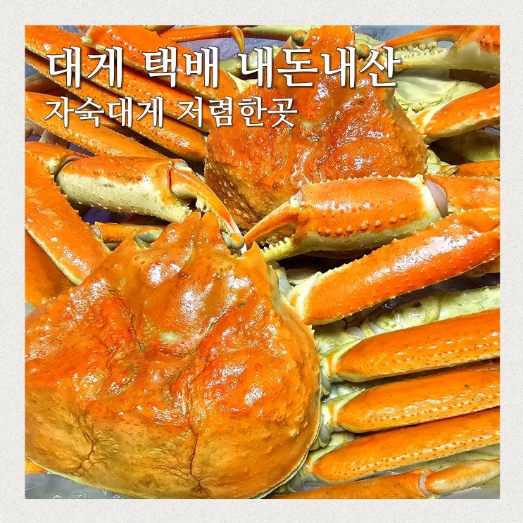 자숙 대게 택배 내돈내산 저렴한곳 제8동해호 : 네이버 블로그