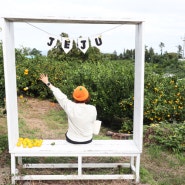 [제주도] 제주도 2박3일 :: 가을여행 1일차 기록 (서쪽~남쪽 이동)