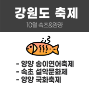 강원 속초 양양 여행, 양양송이연어축제, 속초 설악문화제, 양양 국화축제 등 강원 가볼만한 축제 정보