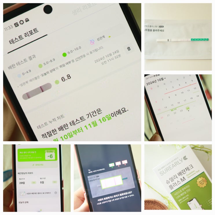 임신 준비 배란테스트기 슈얼리 배테기 사용법 w. 배란기 증상 배란일 계산법 : 네이버 블로그