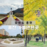 강원도 홍천 단풍여행 은행나무숲 무궁화 수목원 비발디파크