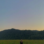 쉼이 존재하는 산소카페 청송🎶with 청송 현지인 맛집, 청송 여행지 추천