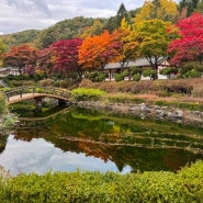 충청도 가을 단풍명소 제천 배론성지 실시간 단풍시기