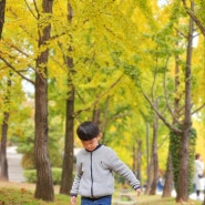 서울숲 단풍 절정 서울숲 근처 놀거리 자전거 숲속 놀이터 텐트