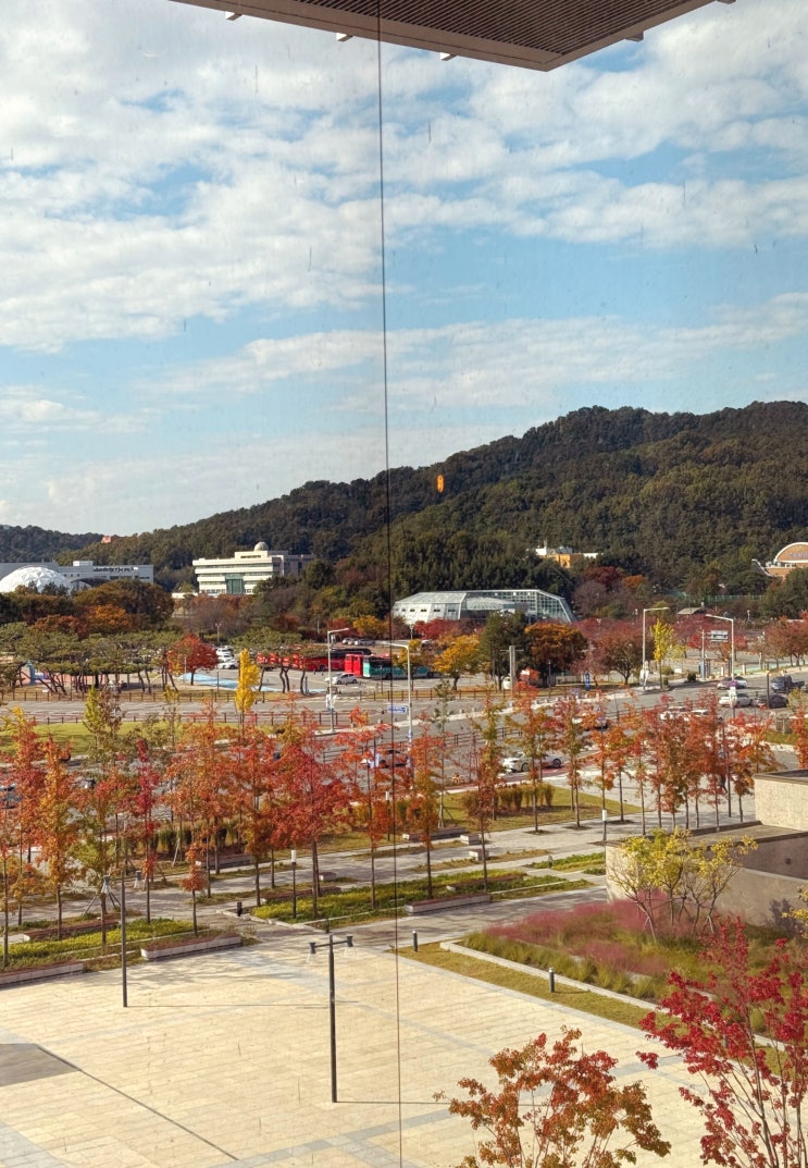 대전 신세계 백화점 볼거리 놀거리 먹거리 대전 실내 가볼만한곳 추천 : 네이버 블로그