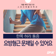 한쪽허리통증, 요방형근을 점검하세요!