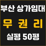 부산 상가임대/ 무권리 사무실 임대 괴정동 사무실 임대 실면적 50평, 각종의원, 사무실, 스터디카페, 요가 필라테스 등 최적의 입지