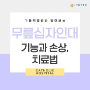 대전무릎십자인대 : 기능과 손상, 치료법 알아보기