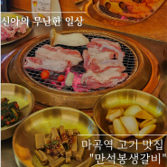 마곡역 고기집 만석봉생갈비 돼지생갈비 양념갈비 후기