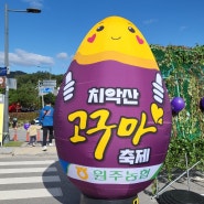 원주 치악산 고구마 축제 품종 전시회 시음 시식 소금산 그랜드밸리