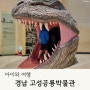 경남 고성공룡박물관 입장료 주차정보 아이와 가볼만한 곳