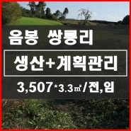 [아산음봉토지] 음봉 쌍룡리 완경사 토지 임야, 전 생산관리 계획관리 토지매매