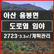 [아산음봉토지] 아산 음봉면 4차선 도로 옆 계획관리 임야 매매