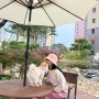 가을에 입기 좋은 강아지 맨투맨 커플룩 , 펫밀리룩 추천🐶