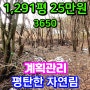 양평토지급매매물 평당25만원 평탄한 계획관리 임야1291평매매입니다. 토지 앞 도로개설확장예정 되어 있는 평탄한 임야입니다. & 용문숲부동산3650