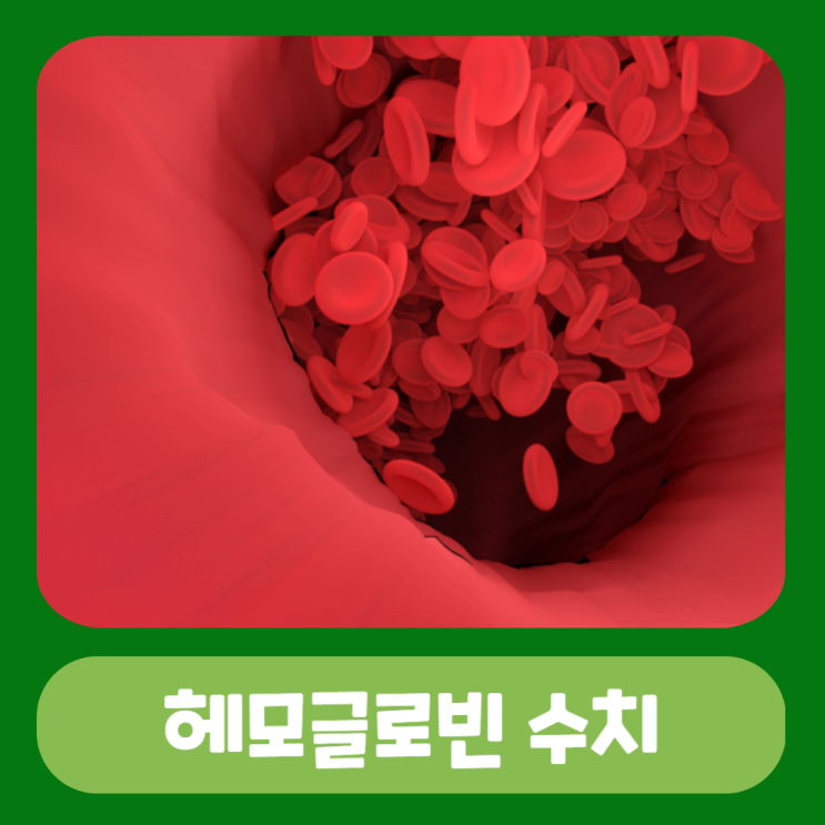 헤모글로빈 수치 높으면 낮음 증상 개선 방법 : 네이버 블…