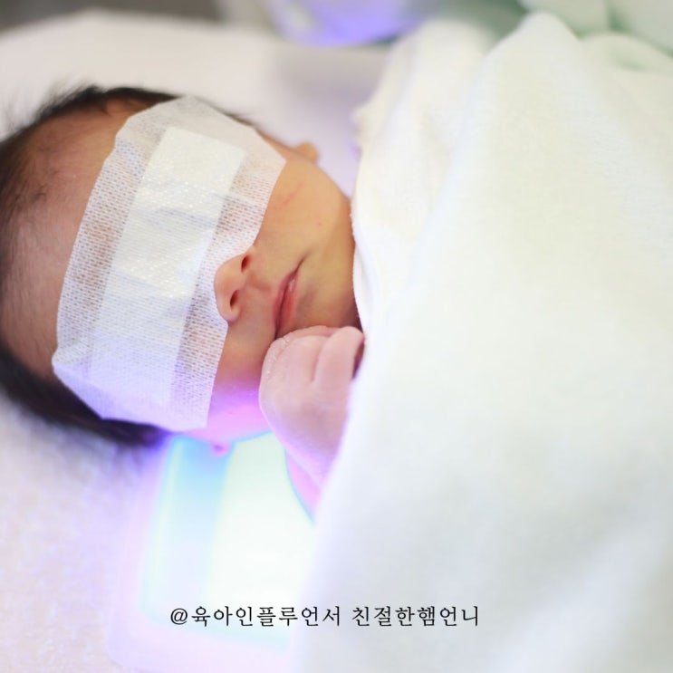 신생아황달 아기황달 모유황달 왜생길까 : 네이버 블로그
