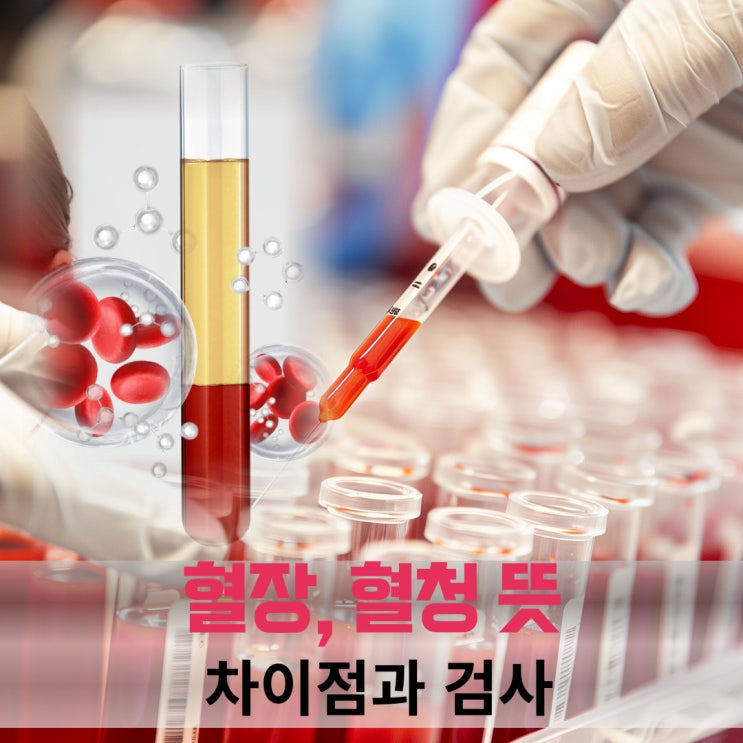 혈장 혈청 뜻, 차이점 검사로 알수 있는 것 : 네이버 블로그