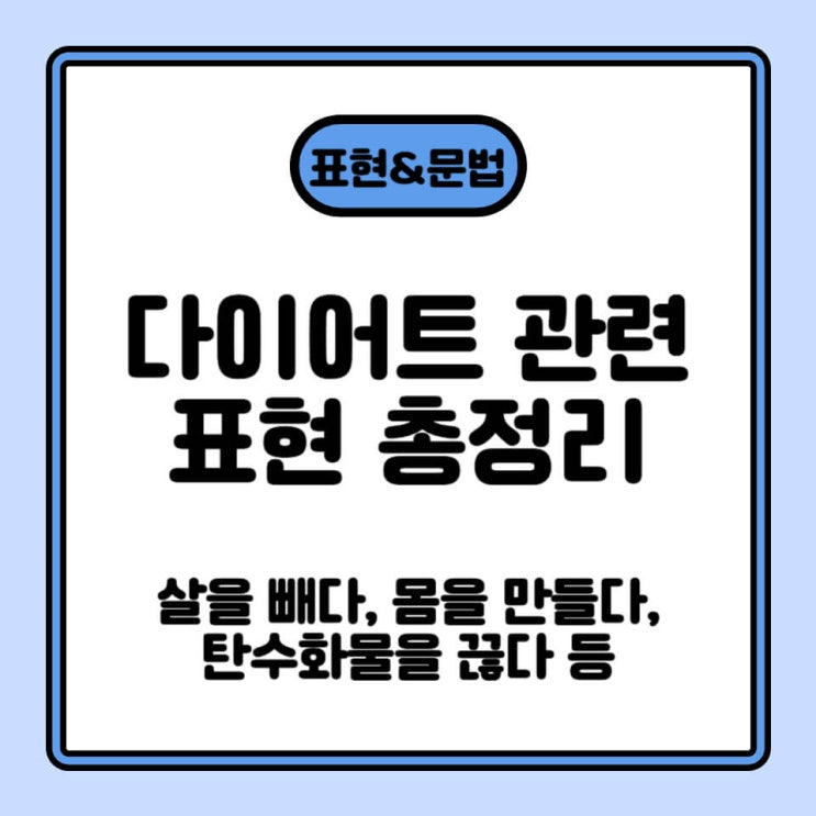 살을 빼다 lose my weight 은 틀린 표현! 다이어트 관련 표현 총정리 살이 붙다, 살이 찌다, 몸을 만들다 ...