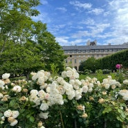 [K&J Honeymoon] Paris Day 1-4 숙취와 함께 떠난 신혼여행 - 슈발블랑 Le Tout Paris / 아스티에 드 빌라트 / Rouje / Mokoloco