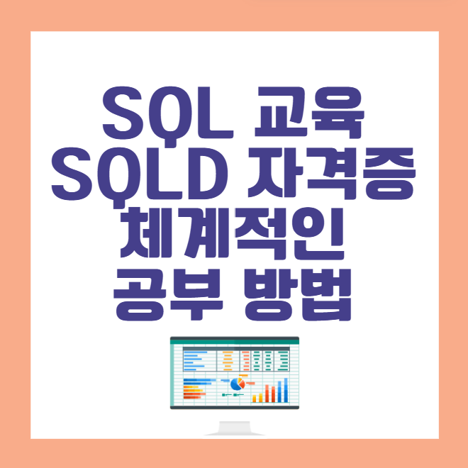 엑셀 SQL 교육 SQLD 자격증 체계적인 공부 방법 : 네이버 블로그