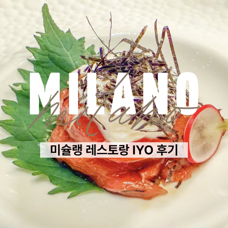 밀라노 맛집 추천 일식 미슐랭 이요(IYO)