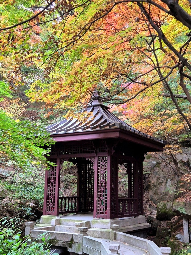 도심속의 정원 석파정 서울미술관 / 석파정맛집 맘스키친 : 네이버 블로그