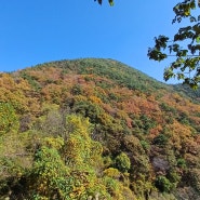 대청호 오백리길 제11구간(말티고개길)